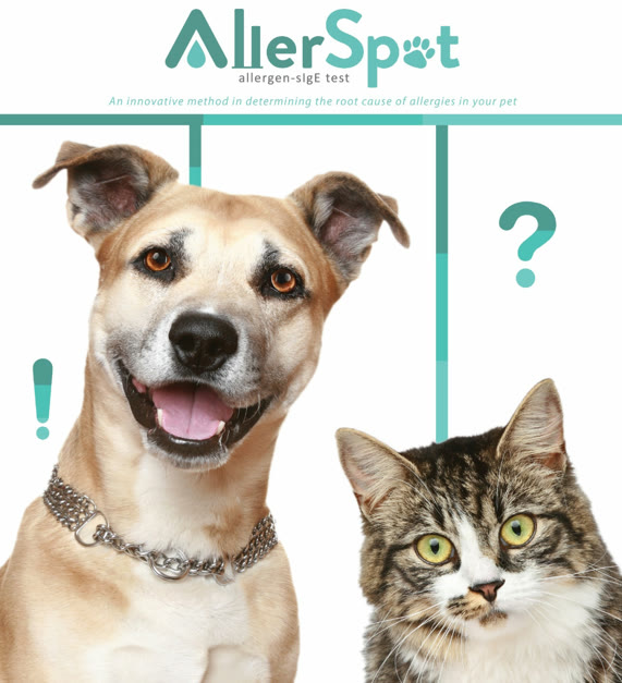 Allergy Testing at Vet Central Lab Philippines