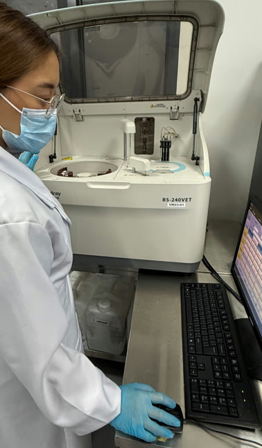 Clinical Chemistry at Vet Central Lab Philippines