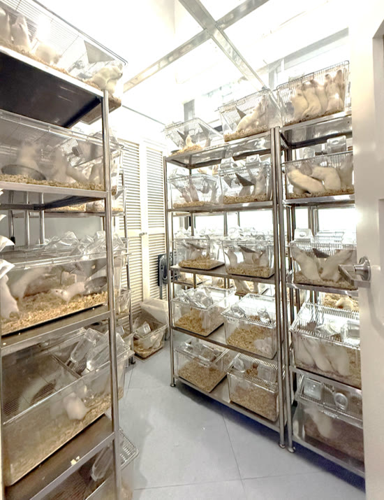 Laboratory Animal Research Facility at Vet Central Lab Philippines