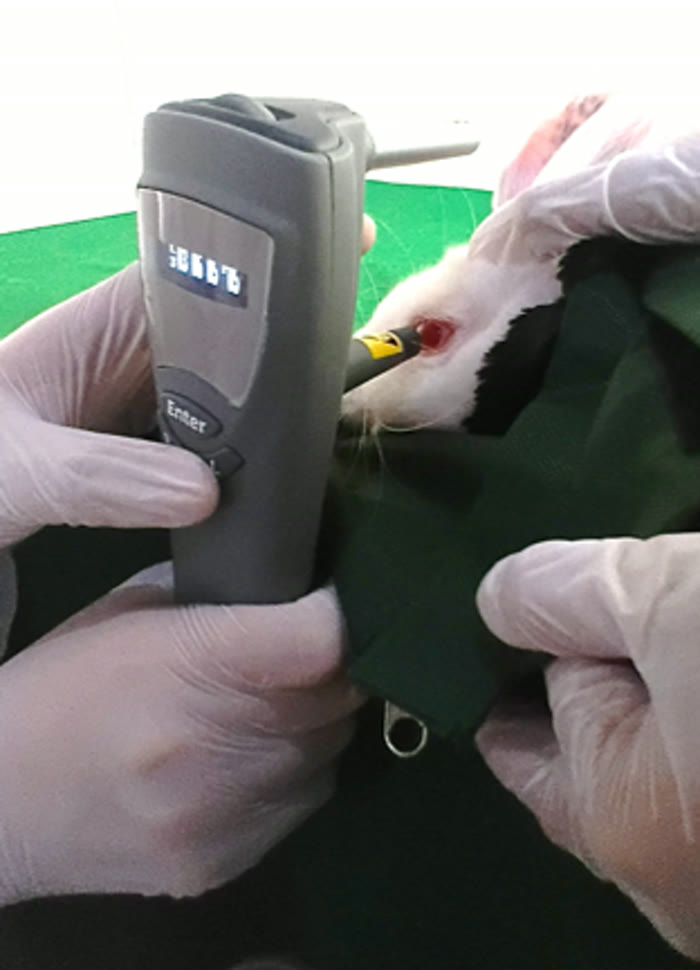 Laboratory Animal Research Facility at Vet Central Lab Philippines