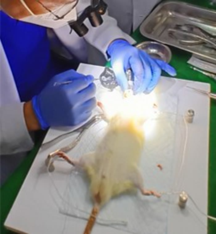 Laboratory Animal Research Facility at Vet Central Lab Philippines