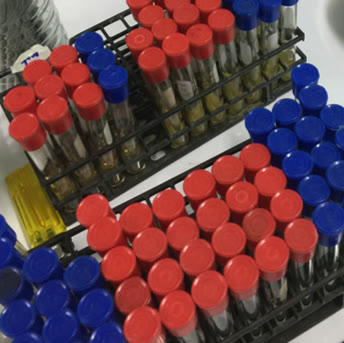 Microbiology at Vet Central Lab Philippines