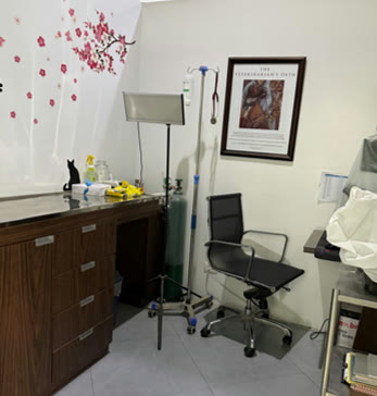Veterinary Care at Vet Central Lab Philippines