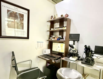 Veterinary Care at Vet Central Lab Philippines