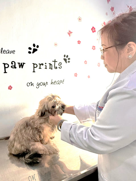 Veterinary Care at Vet Central Lab Philippines
