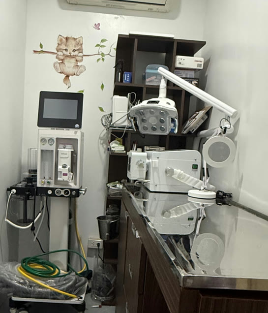 Veterinary Care at Vet Central Lab Philippines