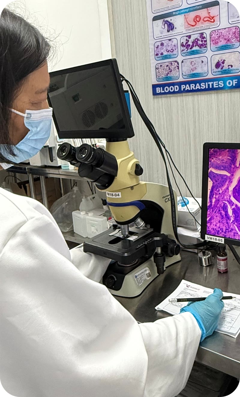 Histopathology, Cytology & Fluid Analysis at Vet Central Lab Philippines