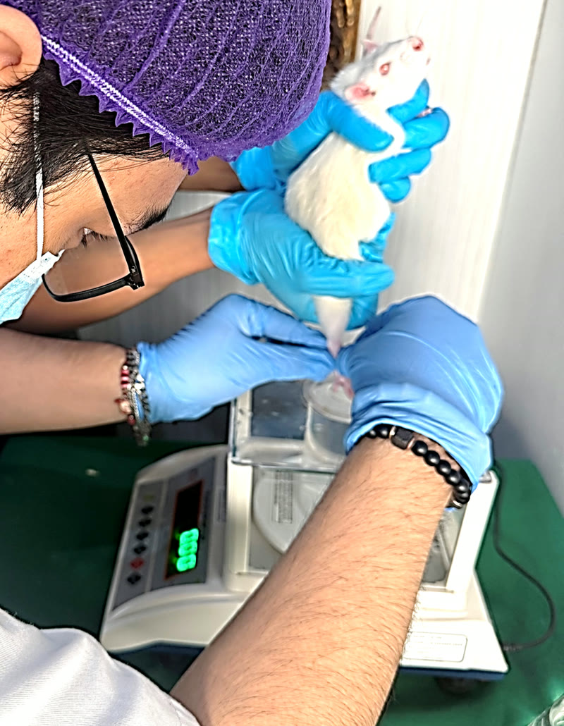 Laboratory Animal Research Facility at Vet Central Lab Philippines